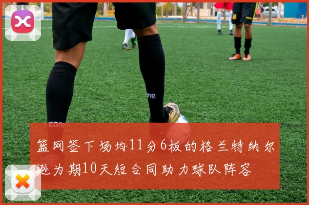 篮网签下场均11分6板的格兰特纳尔逊为期10天短合同助力球队阵容