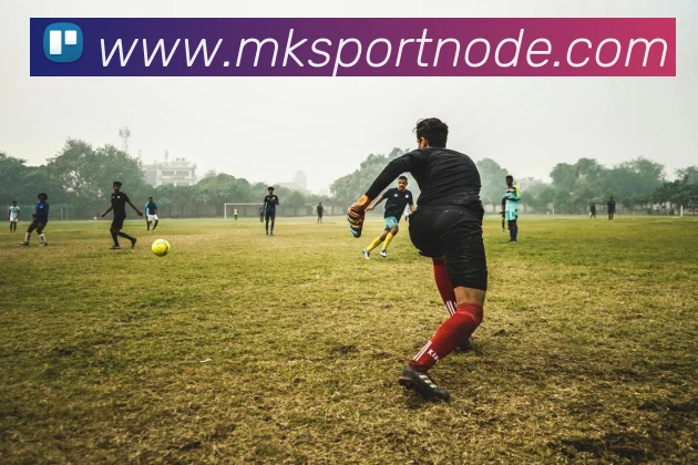 MK体育APP 封面图